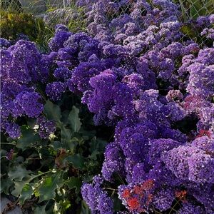 Meet your Posher, Krystal